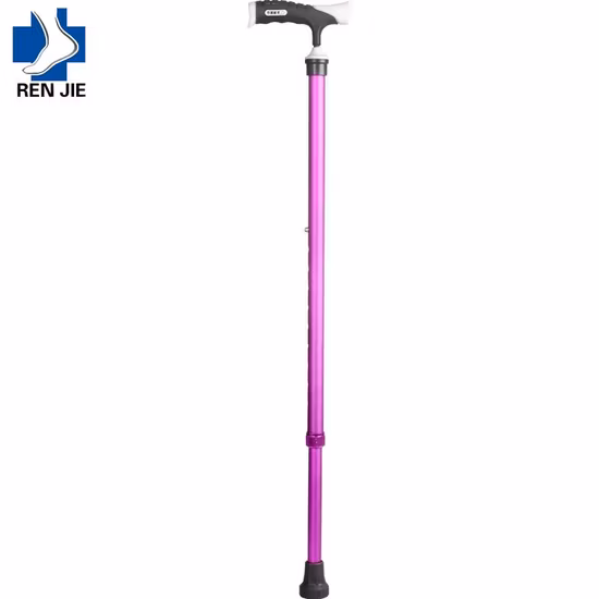 Edelstahl faltbarer Trekkingstock Nordic Walking Stick-Teleskop-Wanderstock mit Klappverschluss